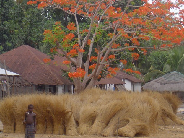 guinebissau