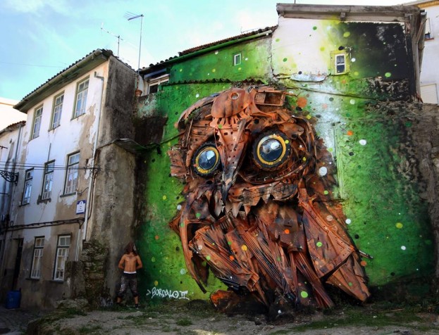 Owl-Eyes-in-Covilhã-Portugal