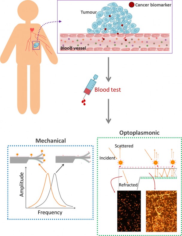 nanosensor_cancer_bionanomechanics