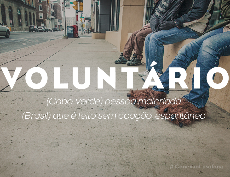 voluntario