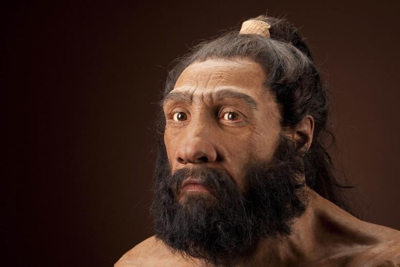 Representação de um neandertal europeu (Imagem: Divulgação Universidade de Edimburgo)