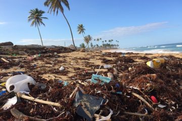 Ilha de Santa Luzia é poluída com plásticos de 25 países