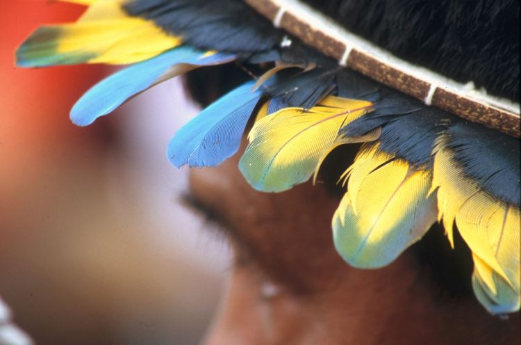 índios homossexuais preconceito vem da colonização