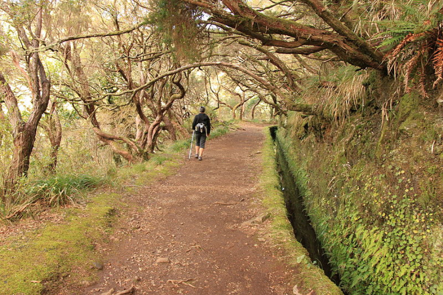 levada das 25 fontes