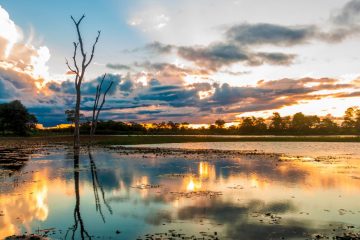 pantanal em mato grosso brasil