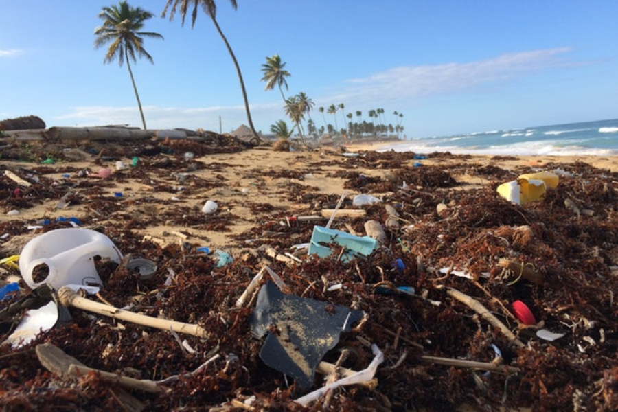 plastico nos oceanos lixo